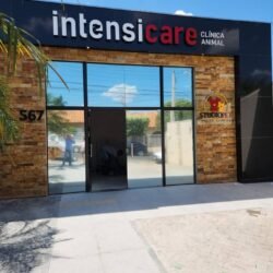 Intensicare-clinica-animal-veterinária-09