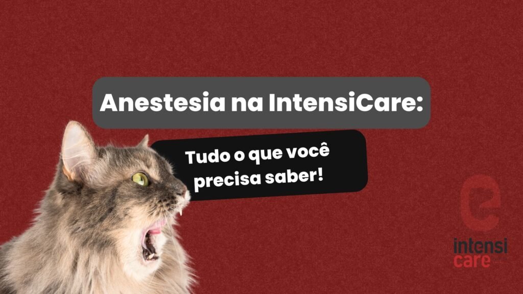 anestesia veterinária