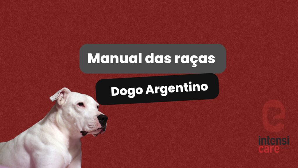 Dogo argentino