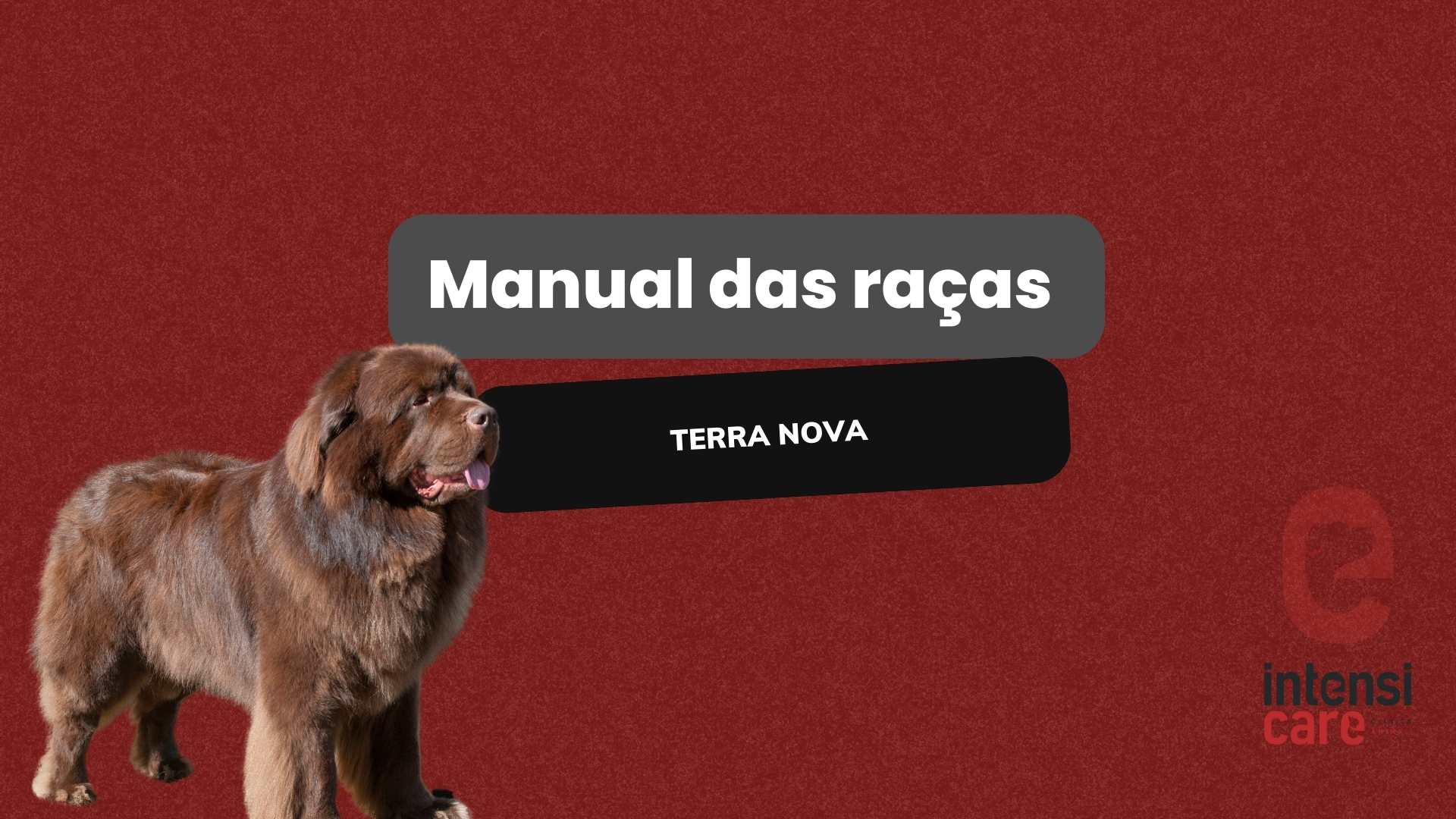 terra nova