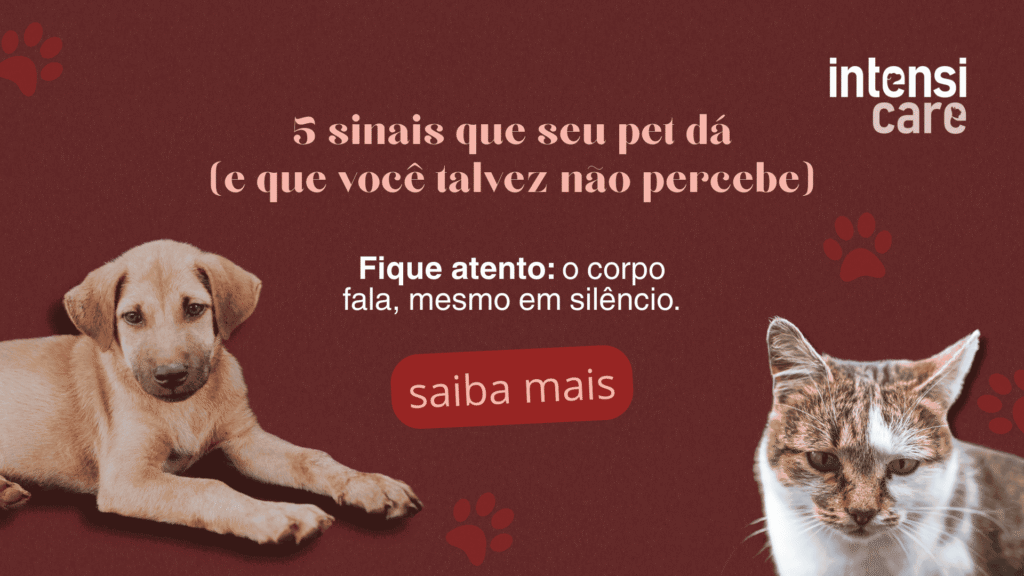 5 sinais silenciosos que indicam que seu pet precisa de atendimento veterinário