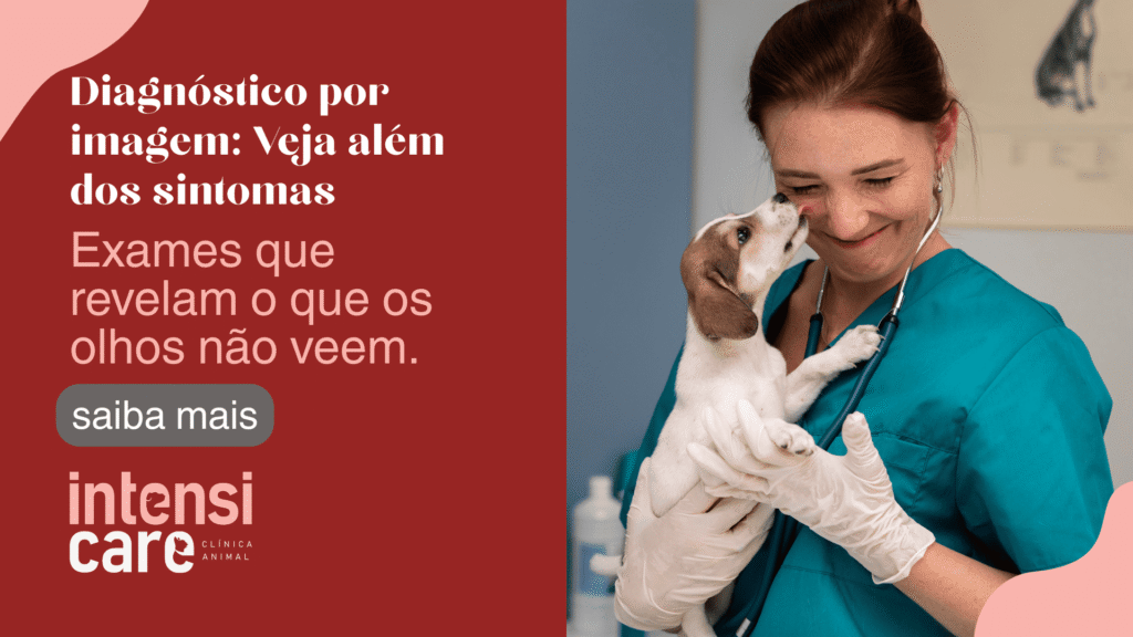 A importância do diagnóstico por imagem na medicina veterinária moderna
