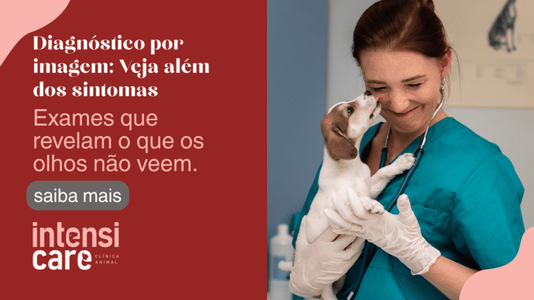 A importância do diagnóstico por imagem na medicina veterinária moderna